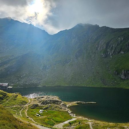 CîrţişoaraCasa Oaspeti Transfagarasanアパートメント エクステリア 写真