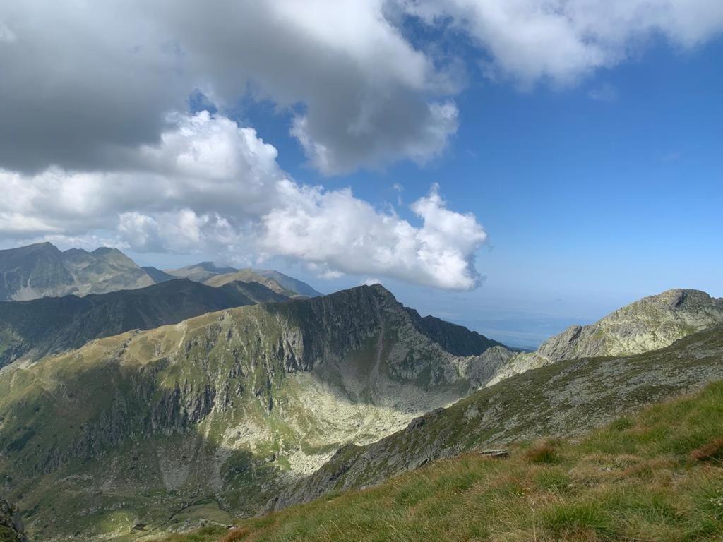 CîrţişoaraCasa Oaspeti Transfagarasanアパートメント エクステリア 写真