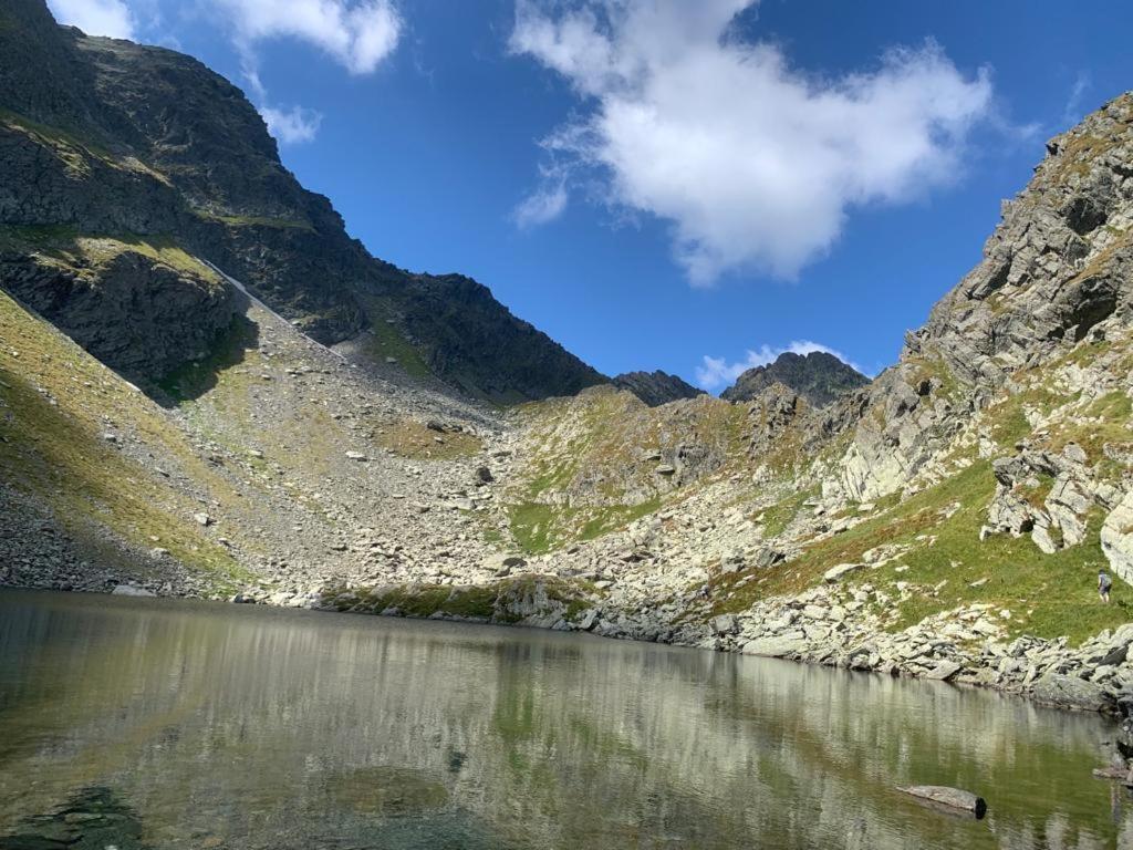 CîrţişoaraCasa Oaspeti Transfagarasanアパートメント エクステリア 写真