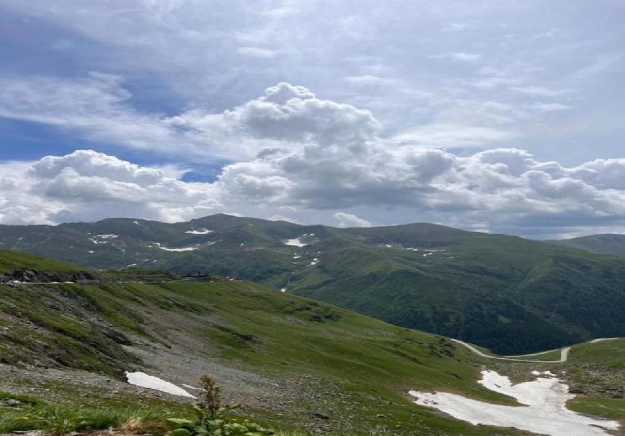 CîrţişoaraCasa Oaspeti Transfagarasanアパートメント エクステリア 写真