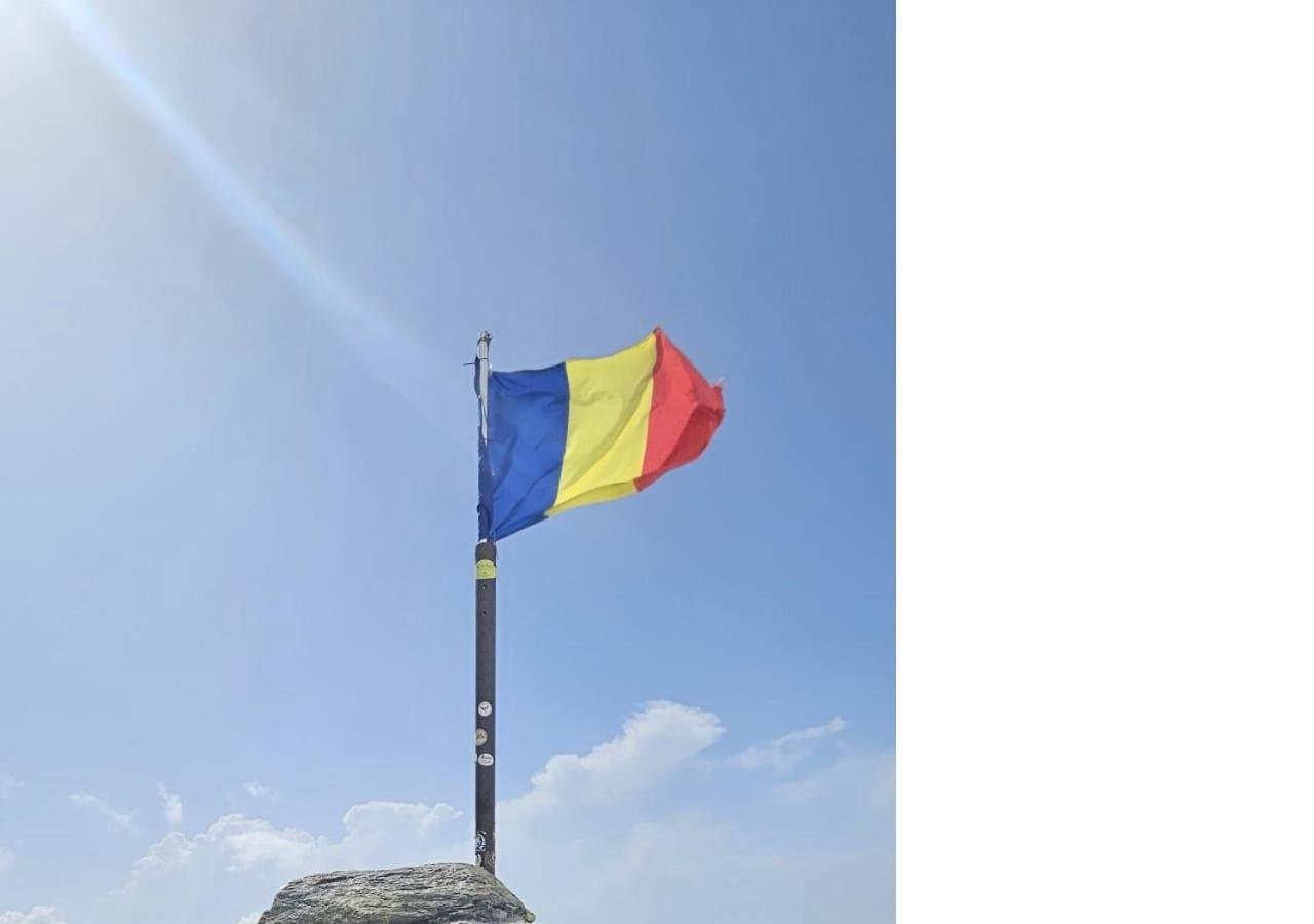 CîrţişoaraCasa Oaspeti Transfagarasanアパートメント エクステリア 写真