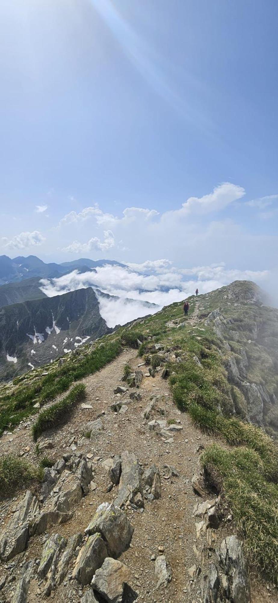 CîrţişoaraCasa Oaspeti Transfagarasanアパートメント エクステリア 写真