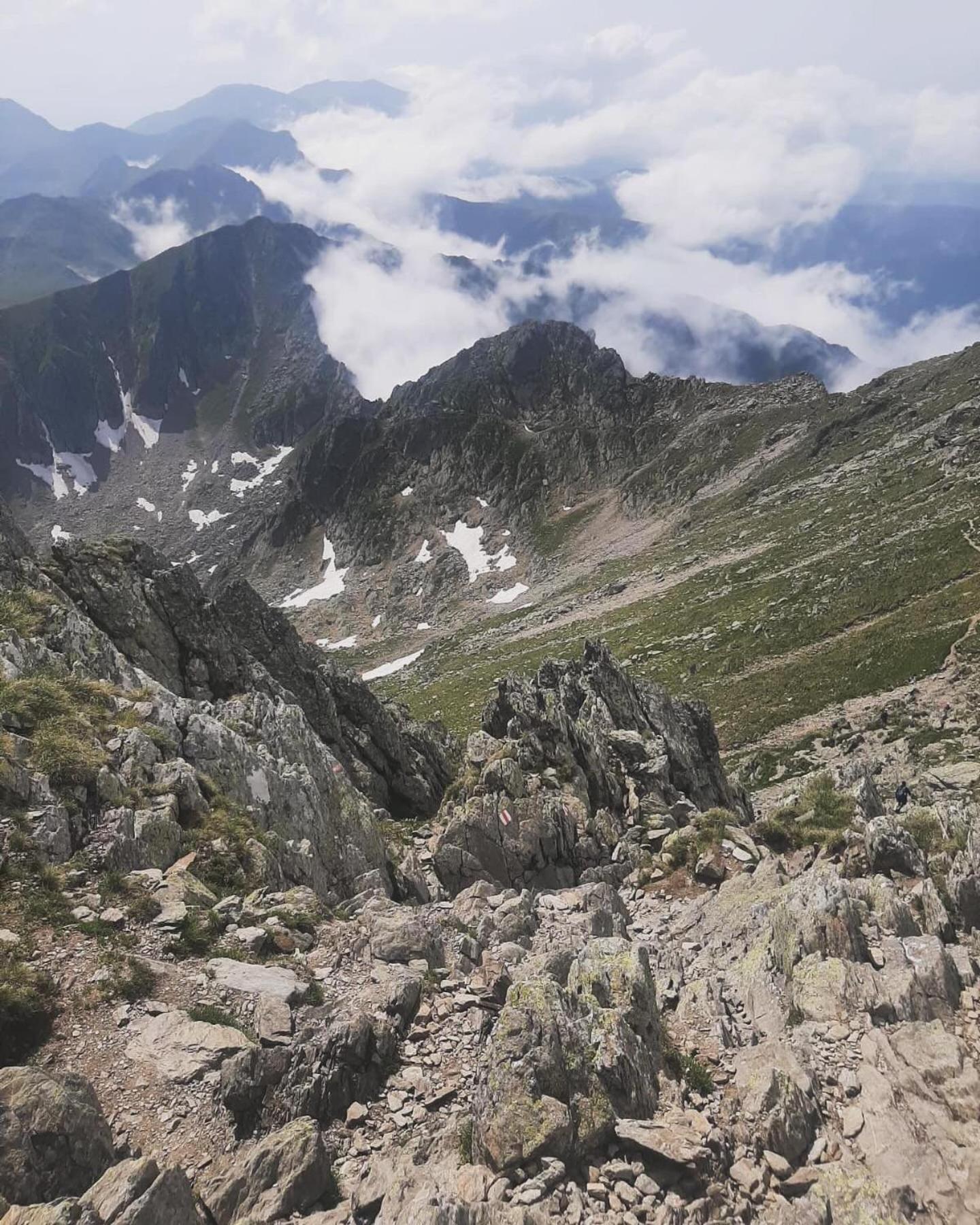 CîrţişoaraCasa Oaspeti Transfagarasanアパートメント エクステリア 写真